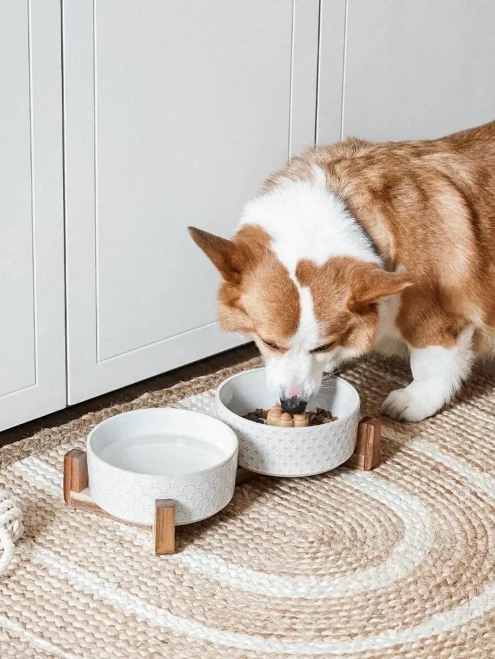Stylish Dog Bowl Set with Acacia Wood Stand - 1.8-Cup Ceramic Bowls for Small